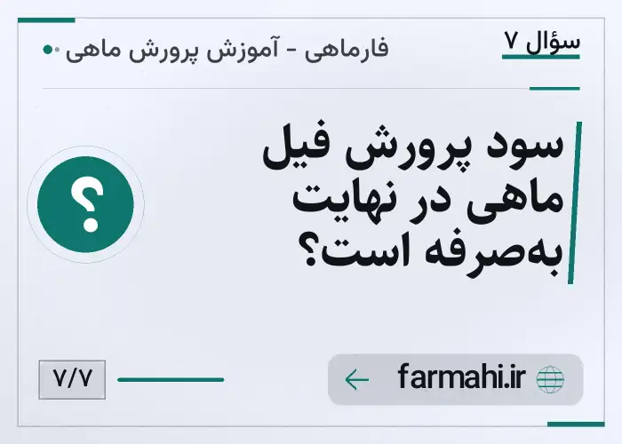 سود پرورش فیل ماهی در نهایت به‌صرفه است؟