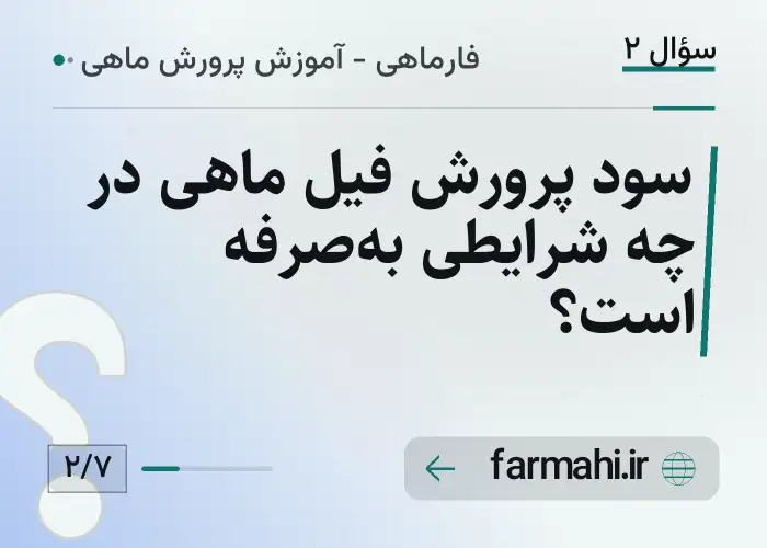 سود پرورش فیل ماهی در چه شرایطی به‌صرفه است؟