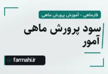 سود پرورش ماهی آمور