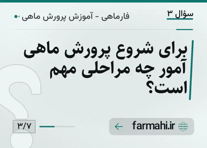 برای شروع پرورش ماهی آمور چه مراحلی مهم است؟
