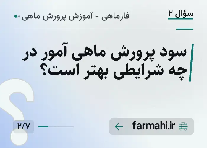 سود پرورش ماهی آمور در چه شرایطی بهتر است؟