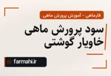 سود پرورش ماهی خاویار گوشتی