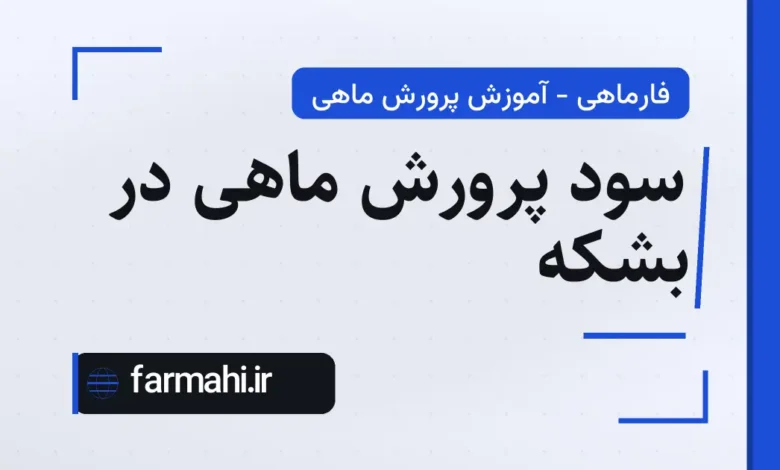 سود پرورش ماهی در بشکه