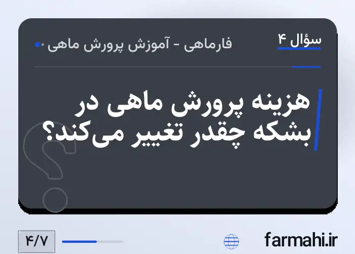 هزینه پرورش ماهی در بشکه چقدر تغییر می‌کند؟