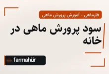 سود پرورش ماهی در خانه
