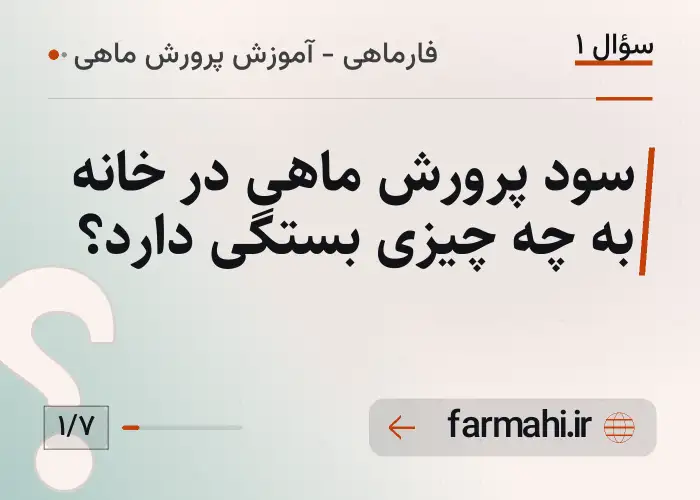 سود پرورش ماهی در خانه به چه چیزی بستگی دارد؟