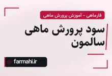 سود پرورش ماهی سالمون
