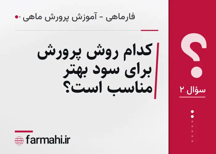 کدام روش پرورش برای سود بهتر مناسب است؟