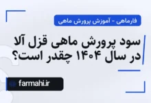 سود پرورش ماهی قزل آلا در سال ۱۴۰۴ چقدر است؟