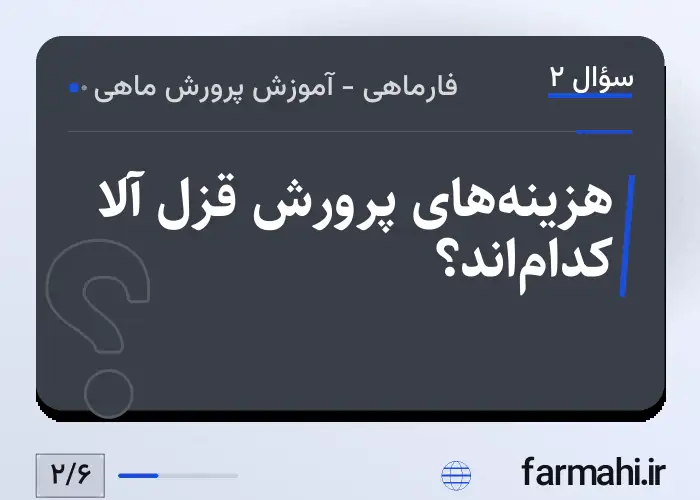 هزینه‌های پرورش قزل آلا کدام‌اند؟