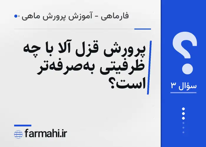 پرورش قزل آلا با چه ظرفیتی به‌صرفه‌تر است؟