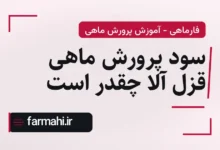 سود پرورش ماهی قزل آلا چقدر است