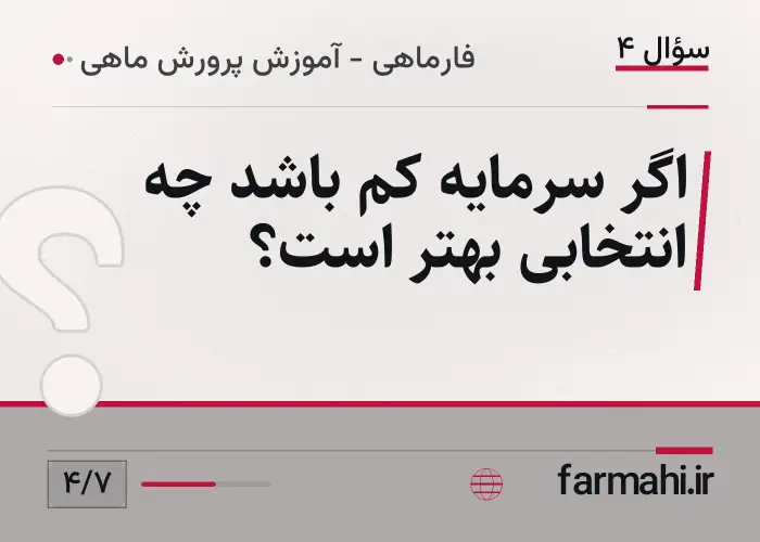 اگر سرمایه کم باشد چه انتخابی بهتر است؟
