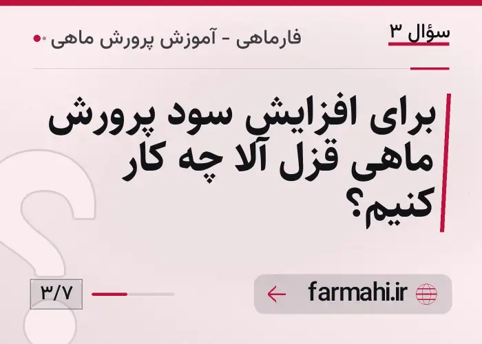 برای افزایش سود پرورش ماهی قزل آلا چه کار کنیم؟