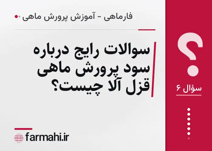 سوالات رایج درباره سود پرورش ماهی قزل آلا چیست؟