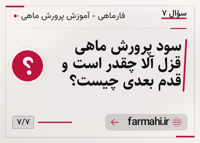 سود پرورش ماهی قزل آلا چقدر است و قدم بعدی چیست؟