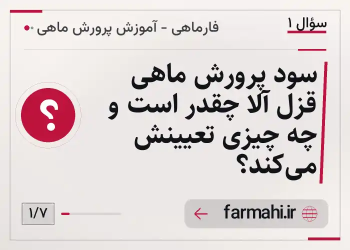 سود پرورش ماهی قزل آلا چقدر است و چه چیزی تعیینش می‌کند؟