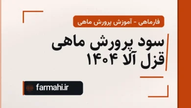 سود پرورش ماهی قزل آلا ۱۴۰۴