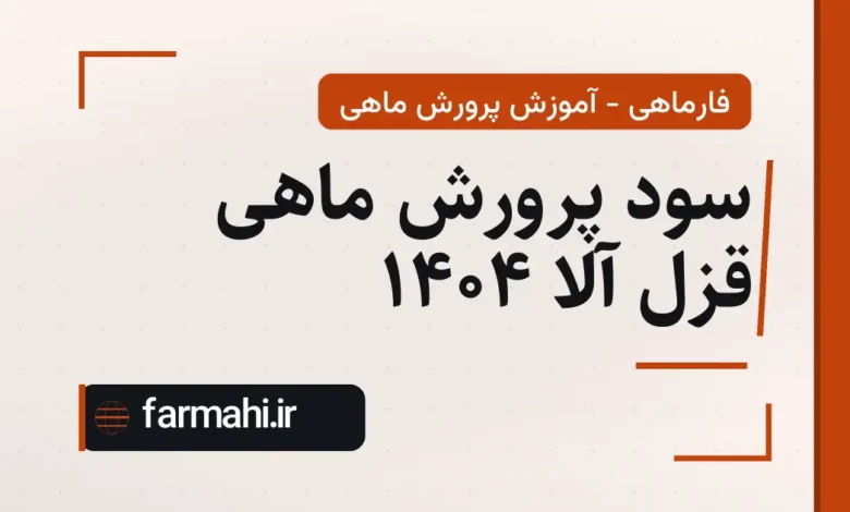 سود پرورش ماهی قزل آلا ۱۴۰۴