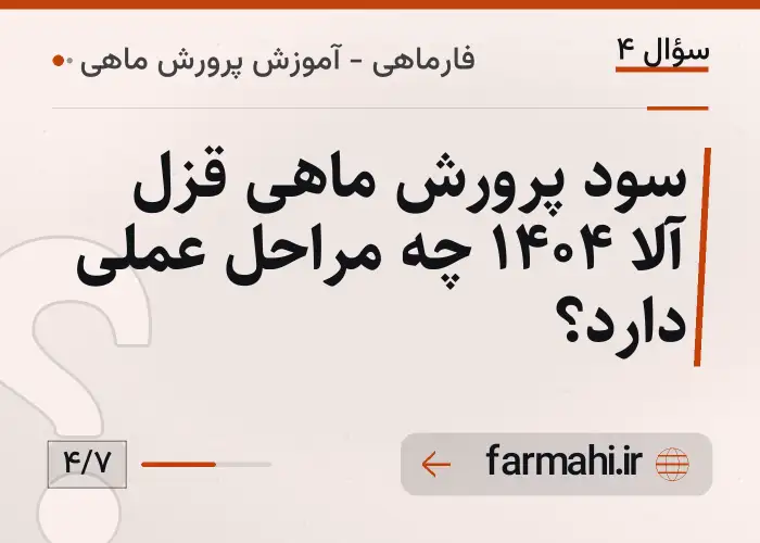 سود پرورش ماهی قزل آلا ۱۴۰۴ چه مراحل عملی دارد؟