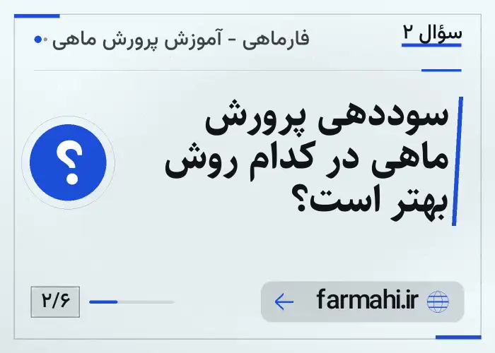سوددهی پرورش ماهی در کدام روش بهتر است؟