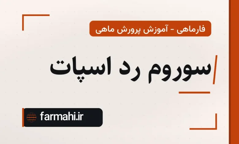 سوروم رد اسپات