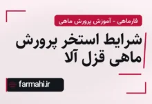 شرایط استخر پرورش ماهی قزل آلا
