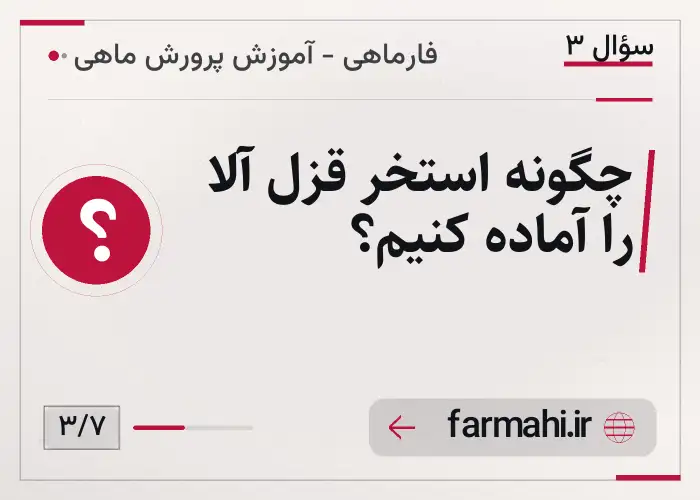 چگونه استخر قزل آلا را آماده کنیم؟