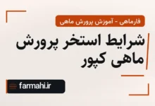 شرایط استخر پرورش ماهی کپور