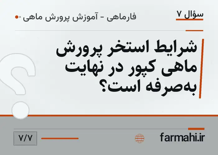 شرایط استخر پرورش ماهی کپور در نهایت به‌صرفه است؟