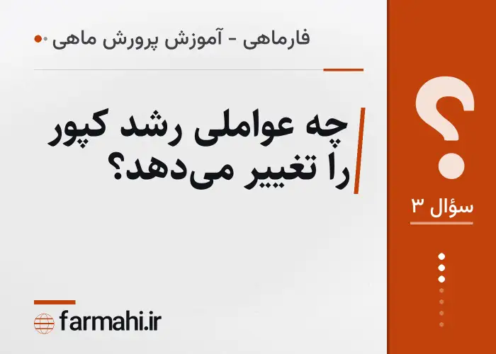 چه عواملی رشد کپور را تغییر می‌دهد؟
