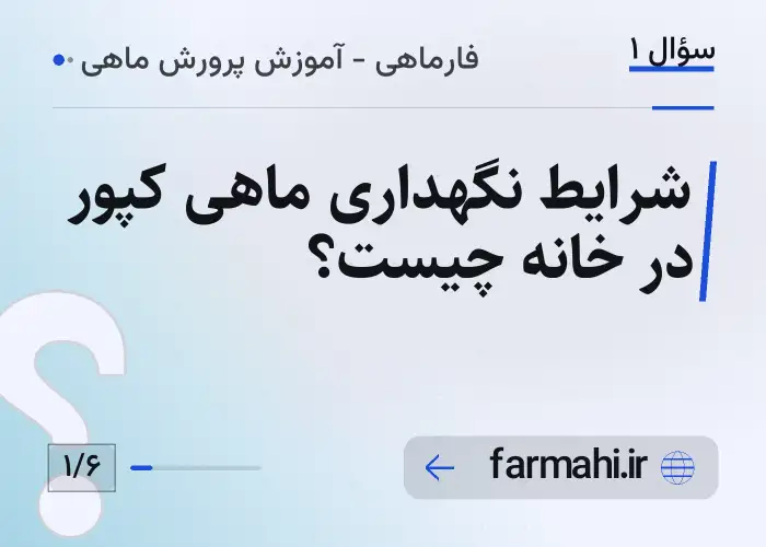 شرایط نگهداری ماهی کپور در خانه چیست؟