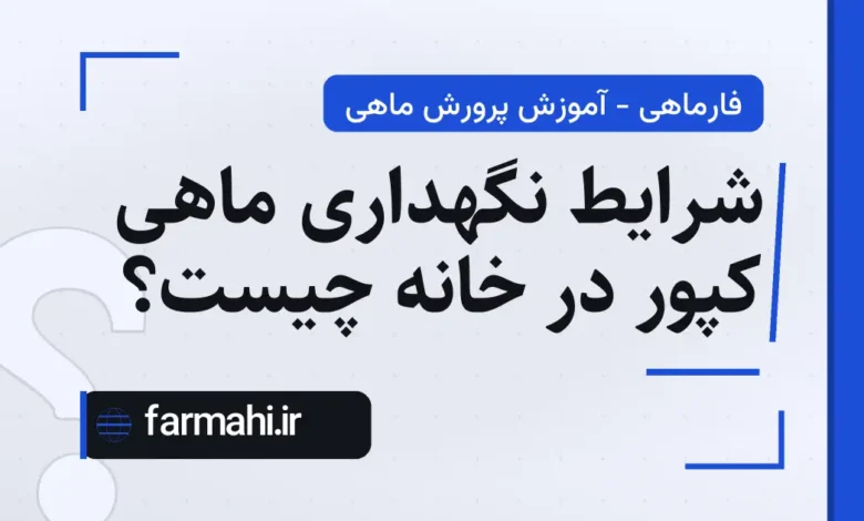 شرایط نگهداری ماهی کپور در خانه چیست؟