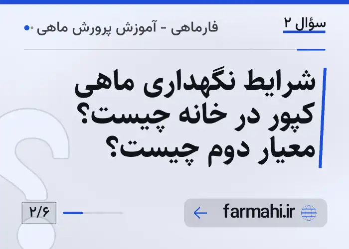 شرایط نگهداری ماهی کپور در خانه چیست؟ معیار دوم چیست؟