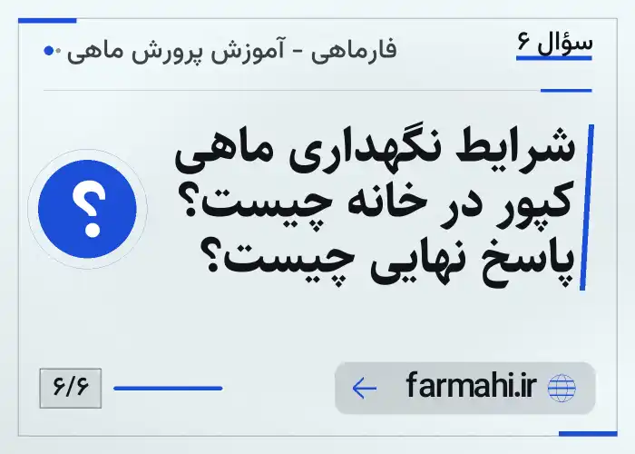 شرایط نگهداری ماهی کپور در خانه چیست؟ پاسخ نهایی چیست؟