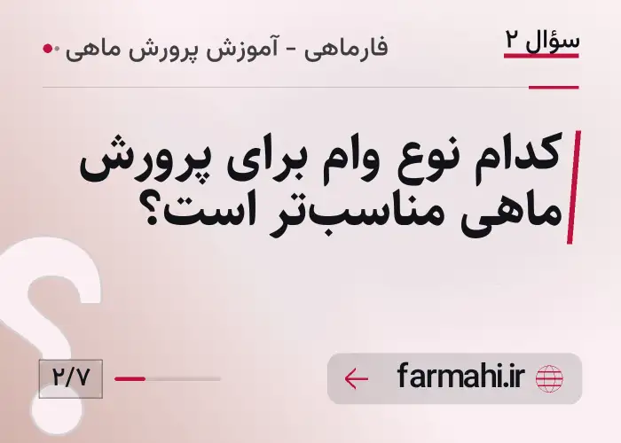 کدام نوع وام برای پرورش ماهی مناسب‌تر است؟