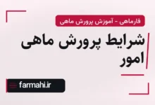 شرایط پرورش ماهی امور