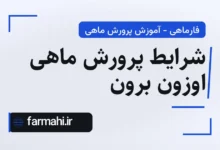 شرایط پرورش ماهی اوزون برون