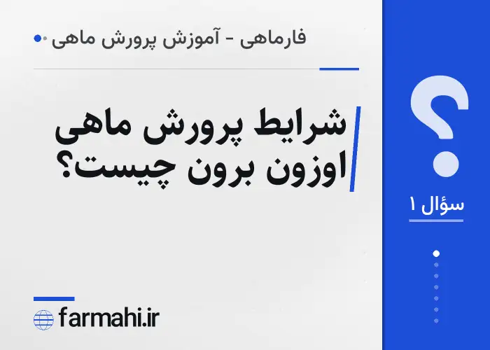 شرایط پرورش ماهی اوزون برون چیست؟