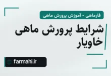 شرایط پرورش ماهی خاویار