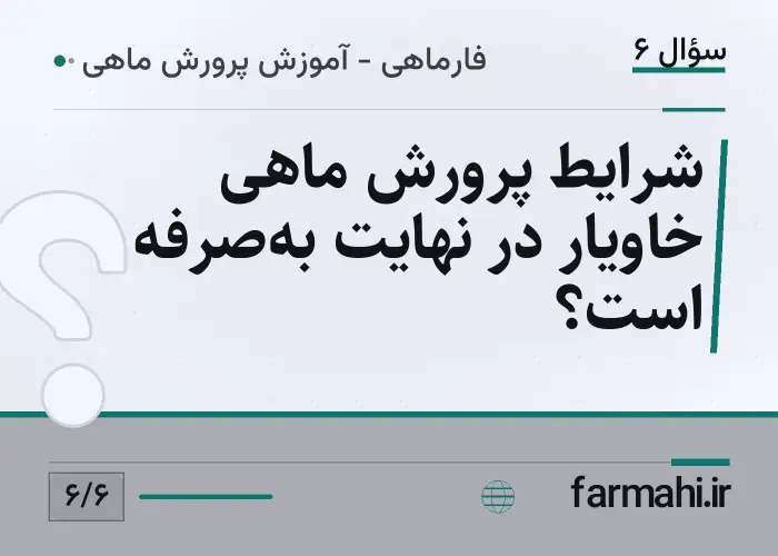 شرایط پرورش ماهی خاویار در نهایت به‌صرفه است؟
