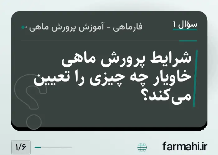 شرایط پرورش ماهی خاویار چه چیزی را تعیین می‌کند؟
