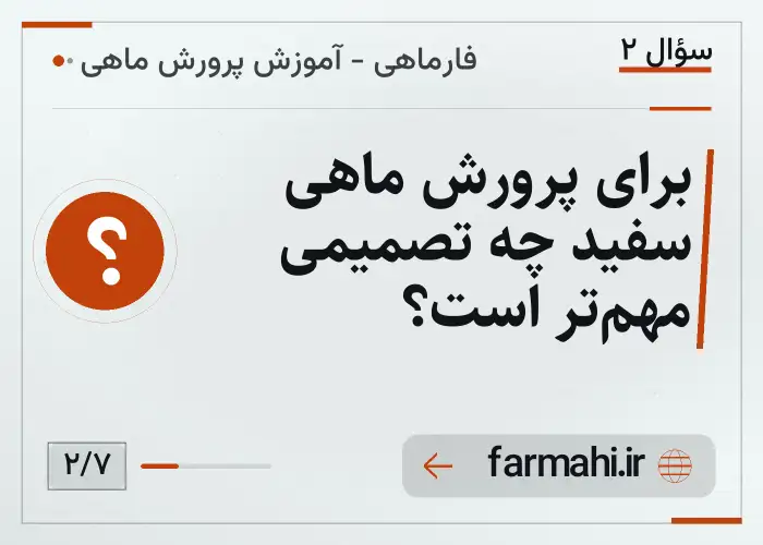 برای پرورش ماهی سفید چه تصمیمی مهم‌تر است؟