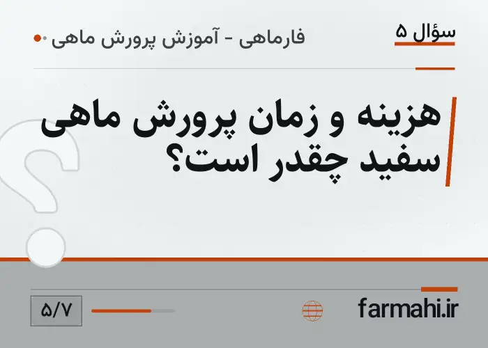 هزینه و زمان پرورش ماهی سفید چقدر است؟