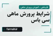 شرایط پرورش ماهی سی باس