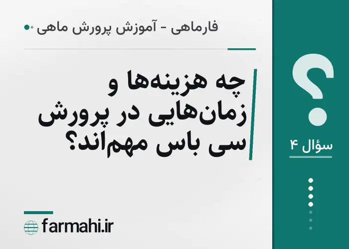 چه هزینه‌ها و زمان‌هایی در پرورش سی باس مهم‌اند؟
