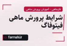 شرایط پرورش ماهی فیتوفاگ