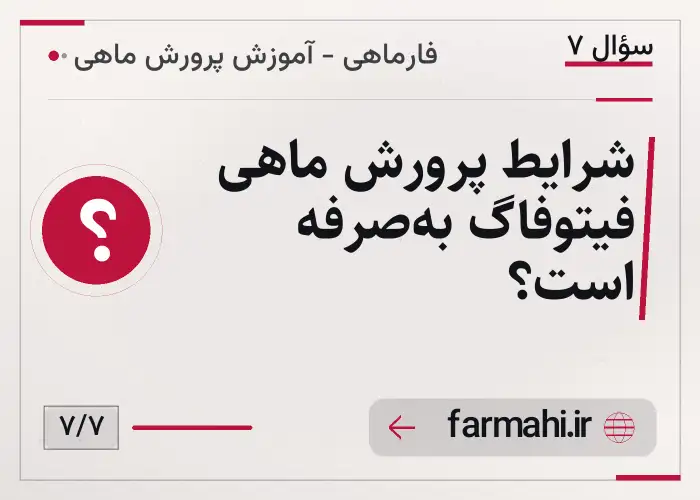 شرایط پرورش ماهی فیتوفاگ به‌صرفه است؟