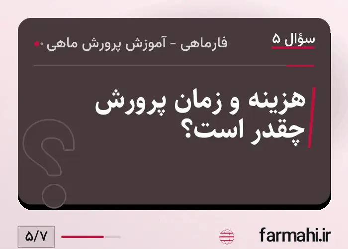 هزینه و زمان پرورش چقدر است؟