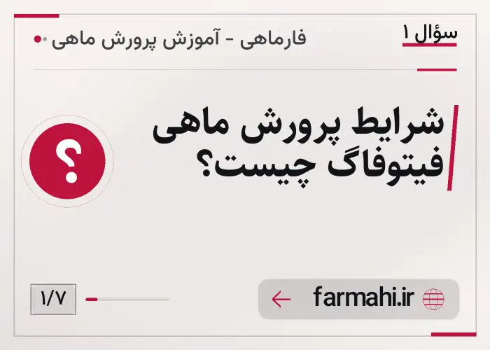 شرایط پرورش ماهی فیتوفاگ چیست؟